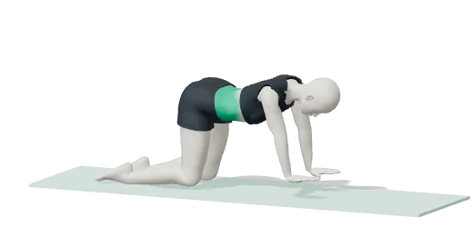 Bird-dog, step 1: Hands and knees, back flat