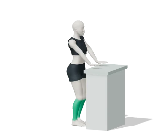 Heel raises, step 1: Stand tall, holding a counter