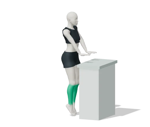 Heel raises, step 2: Rise onto your toes, lower slowly