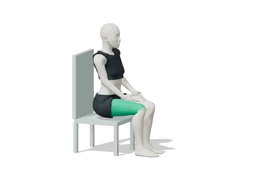 Animation of Seated knee straightening
