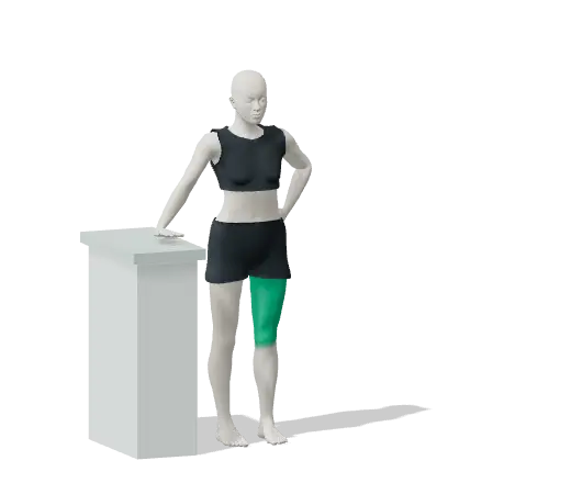 Animation of Side leg raise